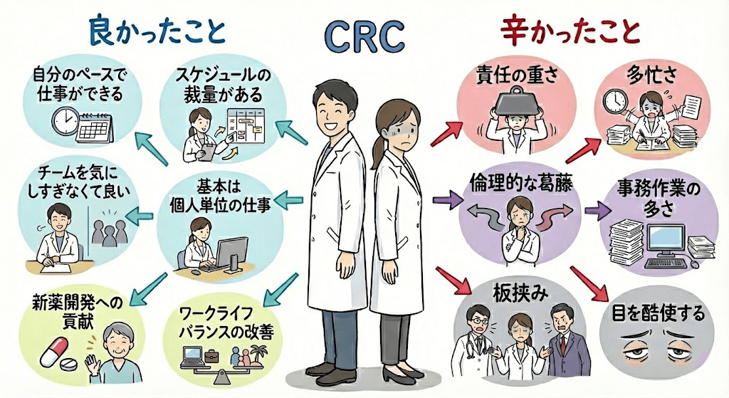 イラスト・図解画像