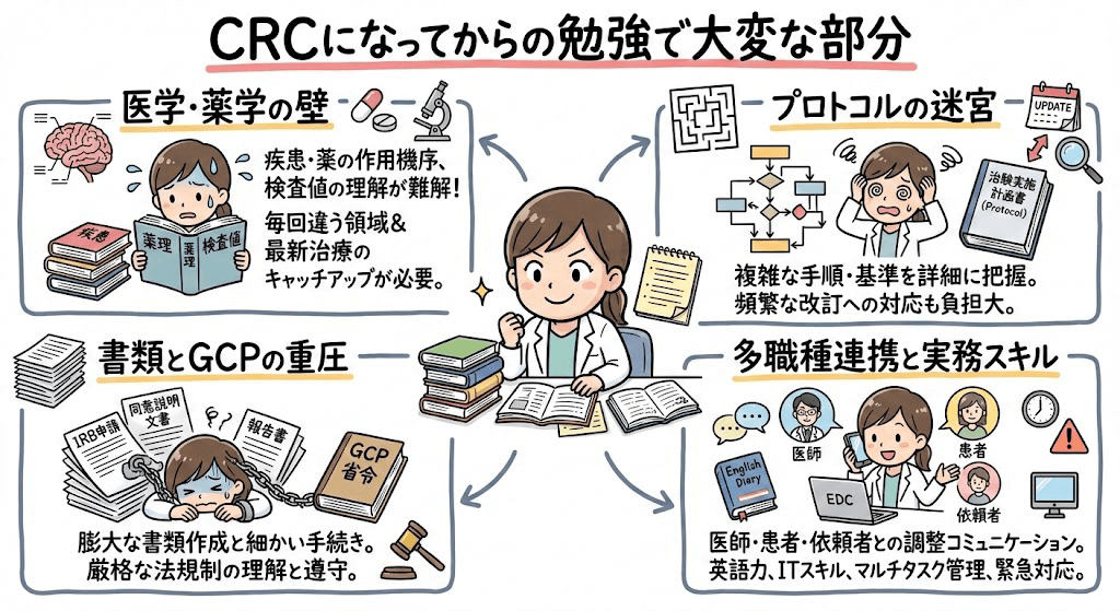 イラスト・図解画像