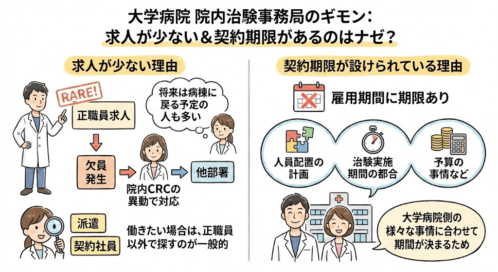 イラスト・図解画像